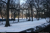 Photo by benoit | New York  central park new york